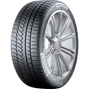 WINTERCONTACT TS850P 100V