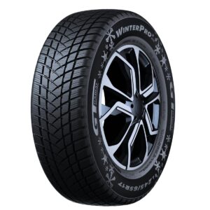 WINTERPRO 2 (EVO) 82H