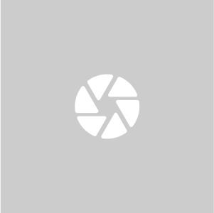 REVENGE 2.0 Matt Black 8,5x19 5x120 ET35 CB72,6 60° 750 kg W2RB85935272E